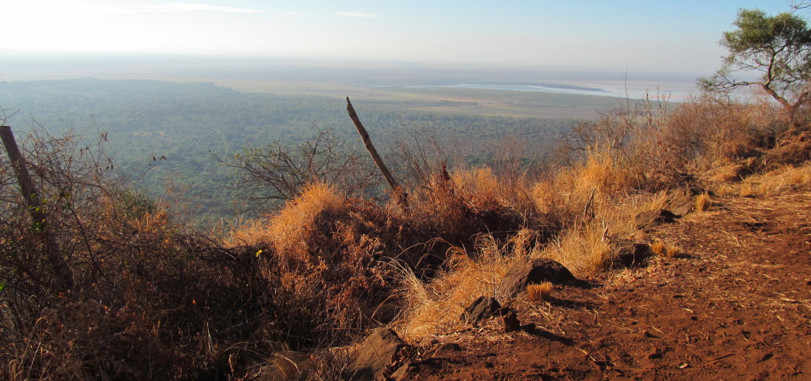Aussicht auf den Lake Manyara in Tansania