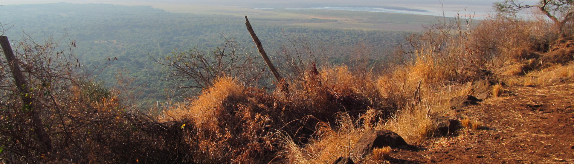 Aussicht auf den Lake Manyara in Tansania